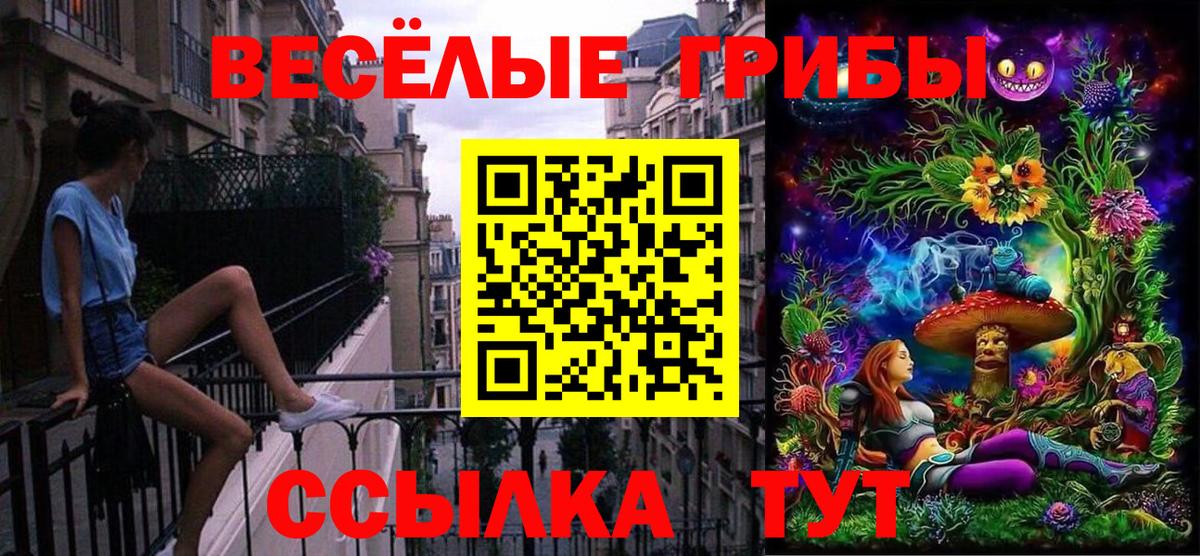 Псилоцибиновые грибы прущие грибы  что такое   Верхний Уфалей  Вход с VPN 